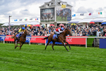 210826-Race 1-Blue Courvoisier-4976