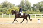 SBM_000677