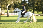 SBM_29579