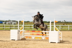 SBM_008955