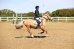 SBM_000968