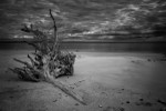 Gathering Storm