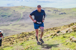 Black Combe-392