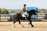 SBM_001704