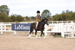 SBM_15939