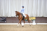 SBM_020032