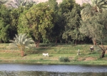 Egypt Street and River 13jpg
