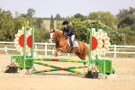 SBM_002215