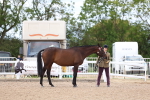 SBM_15263