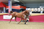 SBM_04388