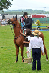 EQUISCOT 9338