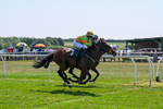 150726-Race 1-Palazzo Persico-2624