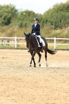 Class 4 - Novice 5 portfolio
