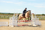SBM_005349