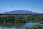 Volcano on Isabela island