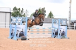 BPP_8816
