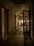 Ellis Island Immigrant Hospital | this perished heart