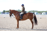 SBM_16818