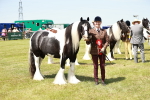 SBM_04263