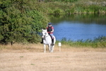 WJ6_7150