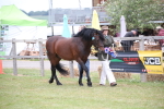 SBM_09721