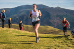 Sale Fell-330