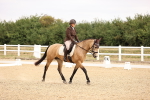 SBM_006433