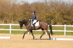 SBM_003583