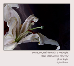 Do not go Gentle ...