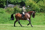 3E7A8249