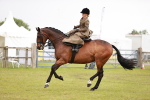 SBM_10995