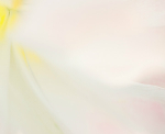 theme 12 week 1: MACRO