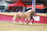 SBM_02990