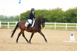 SBM_006036