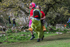 Dovedale-2271