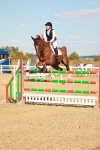 SBM_007918