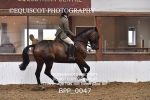 BPP_0047