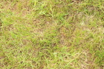SBM_10421