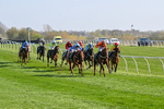 080426-Race 5-Free Pic-0562