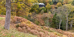 Steam engine at Goathland