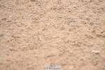 240720A-084229-13090