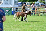 SBM_03556