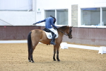 SBM_000036