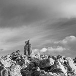Old friends, Dartmoor