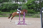 BPP_7978