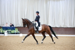 SBM_010381