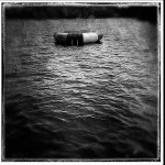 theme 9 week 1: LOW KEY