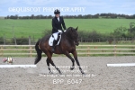 23RD AUGUST 2025 - DRESSAGE - MUIRMILL EC portfolio