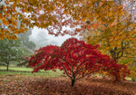 Batsford - 01