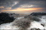 Snow on White Edge